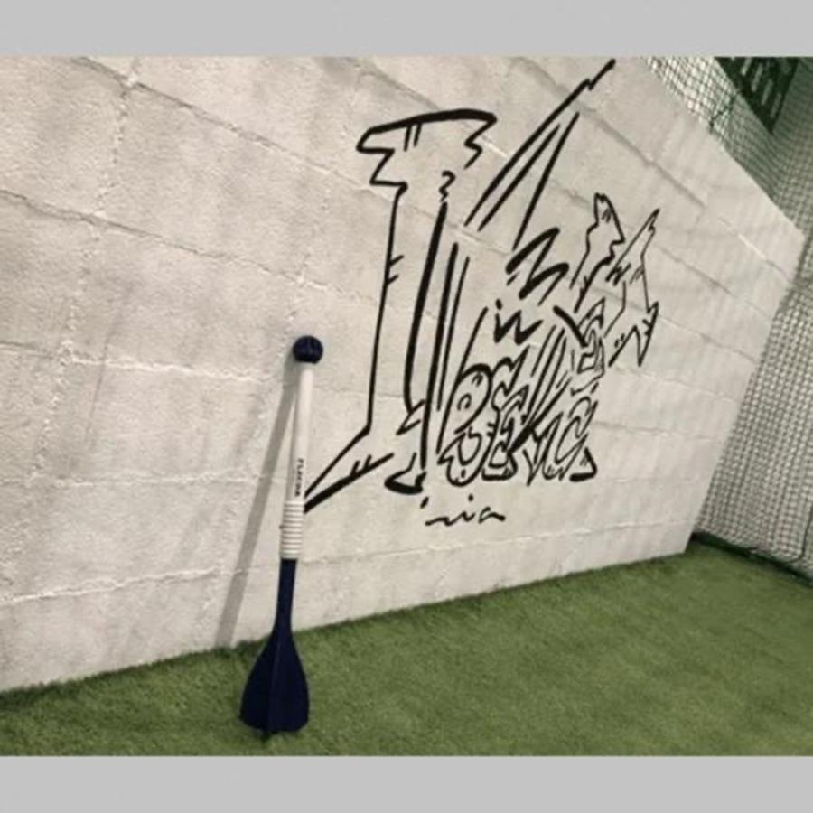 アイピーセレクト 野球 フレーチャ FLECHA トレーニング 全身を使って