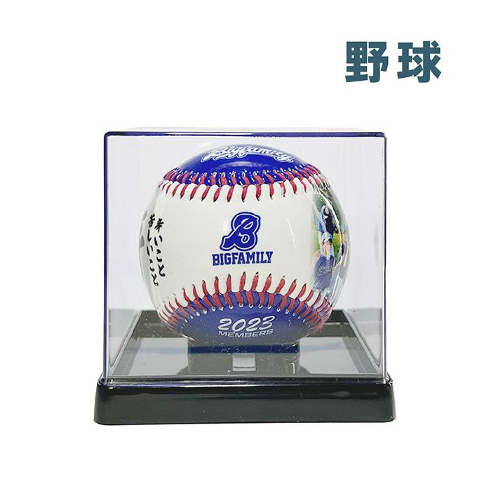 超野球専門店CVオリジナル 記念品 オリジナル記念野球ボール（専用
