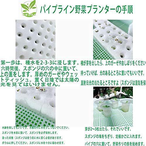 水耕栽培キット 野菜 栽培キット すいこう栽培キット 室内 いちご 家庭菜園 水耕栽培セット プランター 108穴 野菜 mm