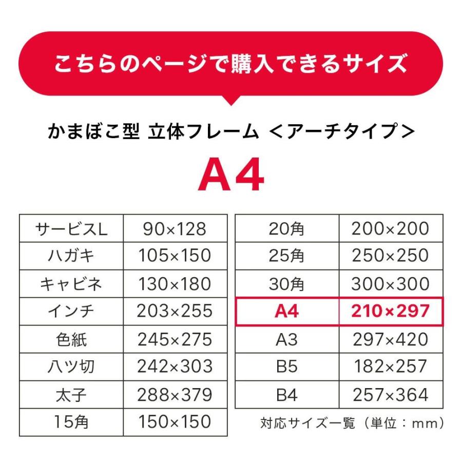 額縁 ボックスフレーム アーチタイプ カマボコ 立体額 A4サイズ 内寸