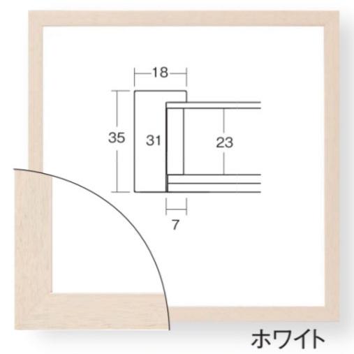 立体額 ボックスフレーム 深さ23ミリ 大全紙サイズ 545×727mm 額縁