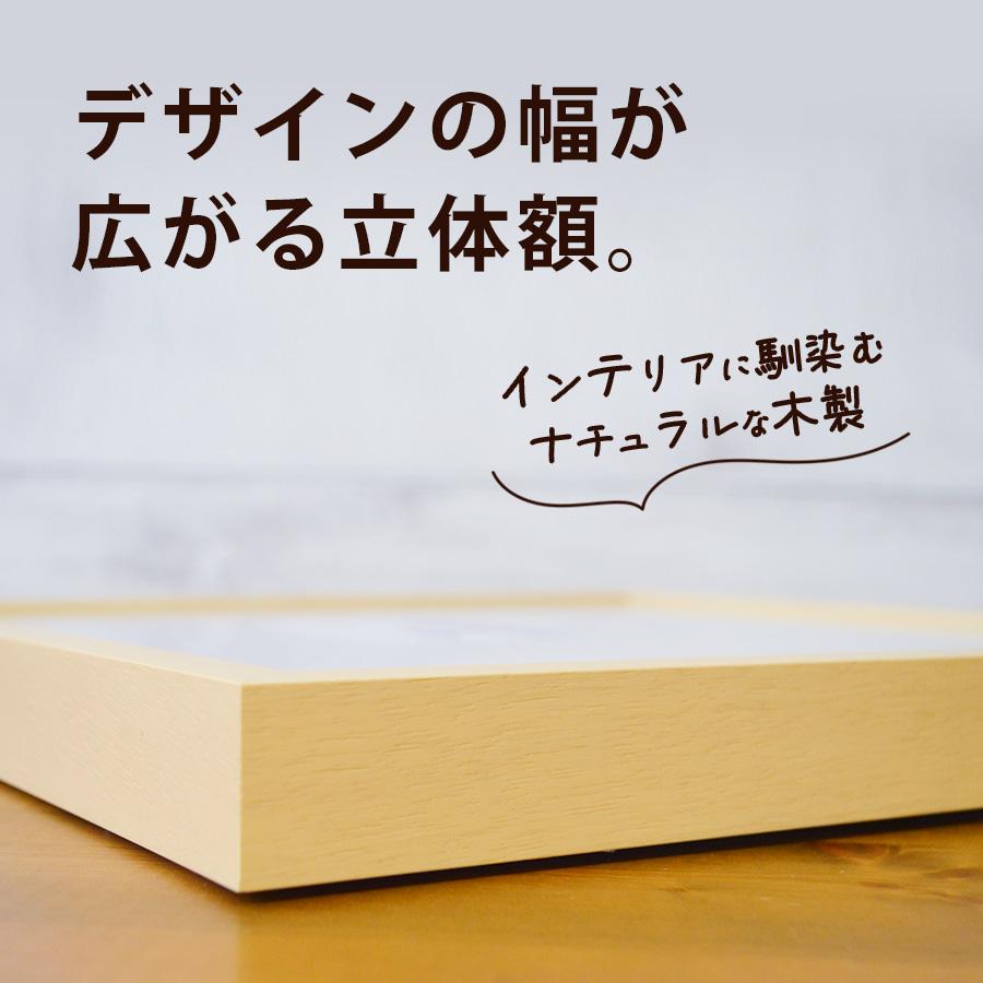 立体額 ボックスフレーム 深さ23ミリ 大全紙サイズ 545×727mm 額縁