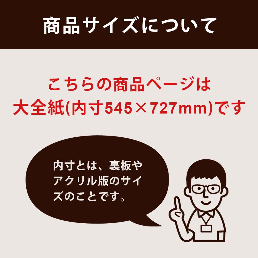 立体額 ボックスフレーム 深さ23ミリ 大全紙サイズ 545×727mm 額縁