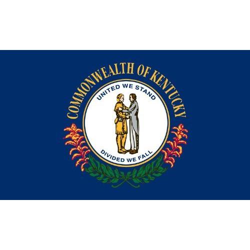 激安通販新作 Valley Forge, Kentucky State Flag, Nylon, 4'x6', 100% Made in USA, Canvas Header, Heavy-Duty Brass Grommets その他インテリア雑貨、小物