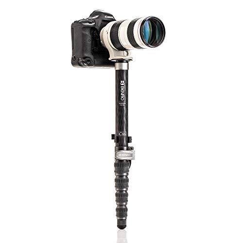 【新品】 Benro MSD46C SupaDupa 一脚 【L2221633458】(14001円)