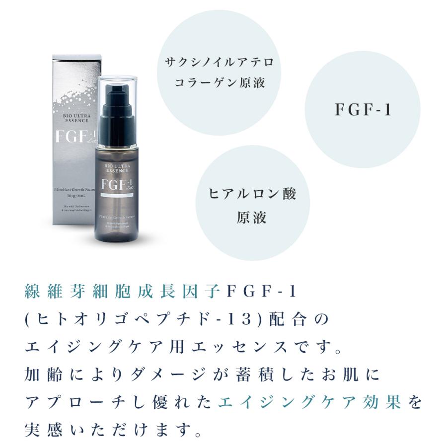 リット FGF-1 導入美容液 エレクトロポレーション イーポレーション