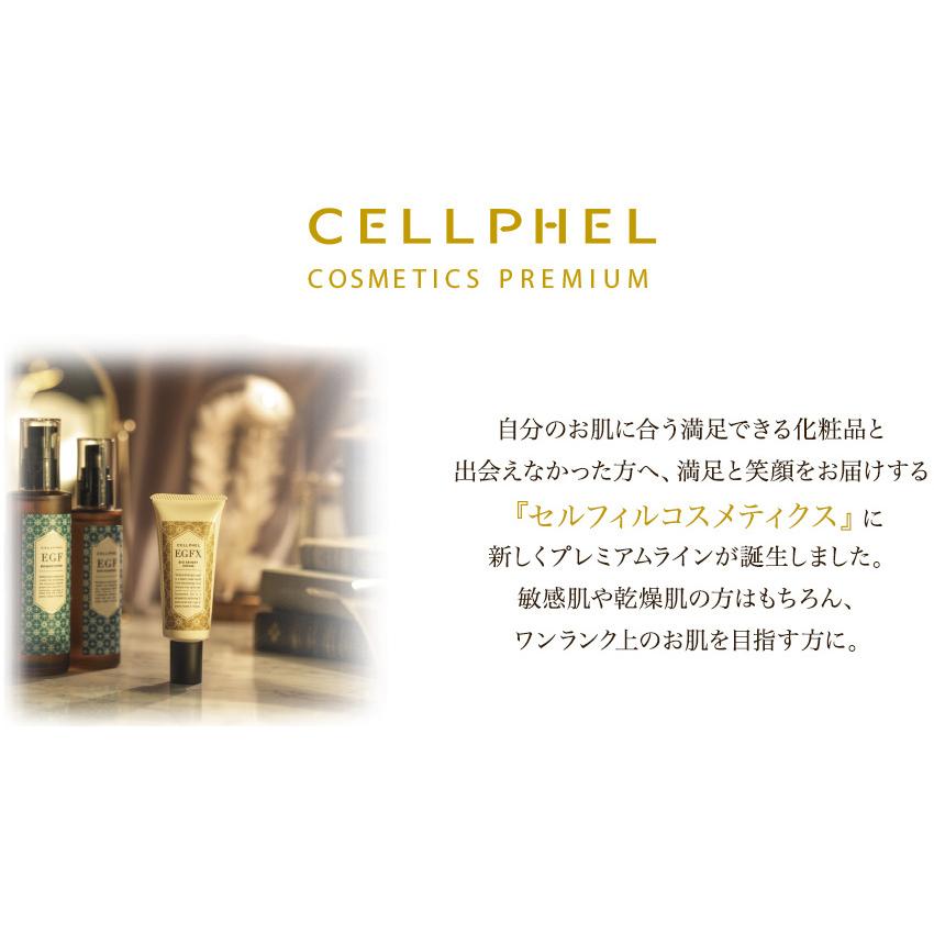 【3/19〜22限定￥5,000円OFFクーポン】セルフィル バイオブライトクリーム 33g / 保湿クリーム スキンケア エイジング EGF 紫外線 UV 天然由来成分 |  | 02