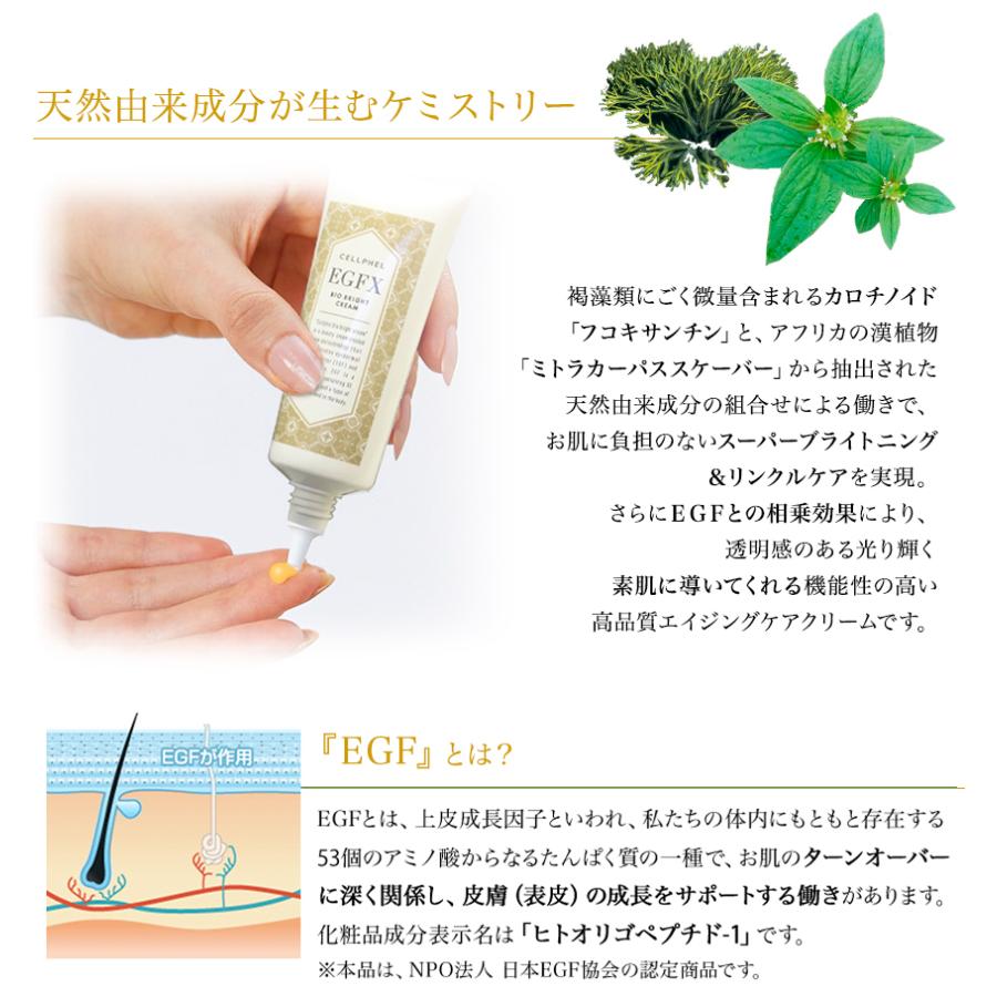 【3/19〜22限定￥5,000円OFFクーポン】セルフィル バイオブライトクリーム 33g / 保湿クリーム スキンケア エイジング EGF 紫外線 UV 天然由来成分 |  | 03