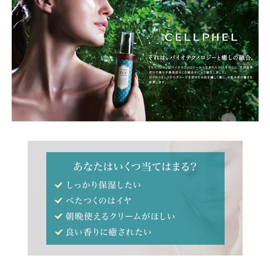CELLPHEL EGF バイオマルチレイヤークリーム 33g セルフィル バイオマルチレイヤークリーム 分包（0.6gx7包