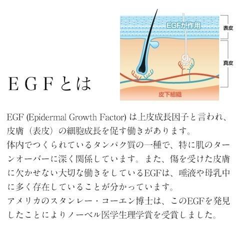 EGF スキンケア ジェル シミ シワ ハリ 敏感肌 乾燥 保湿 / セルソアン