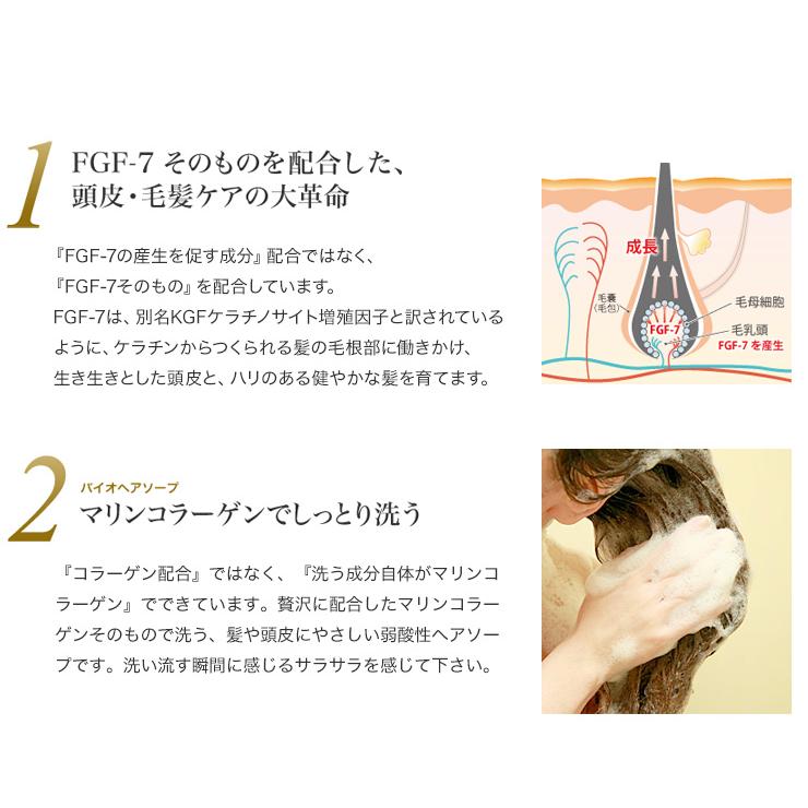 『エクストラヘアソープ パーフェクトナチュラル 300mL』/ シャンプー エイジングケア スカルプケア 天然成分 FGF-7 |  | 01