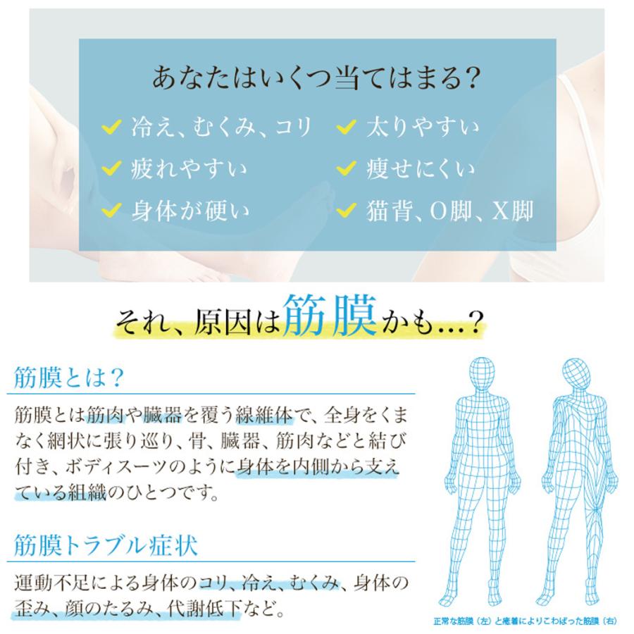 筋膜リリース 筋膜はがし 吸引 ローラー EMS マッサージ エステ 筋膜リリース 筋膜はがし 吸引 ローラー EMS マッサージ エステ