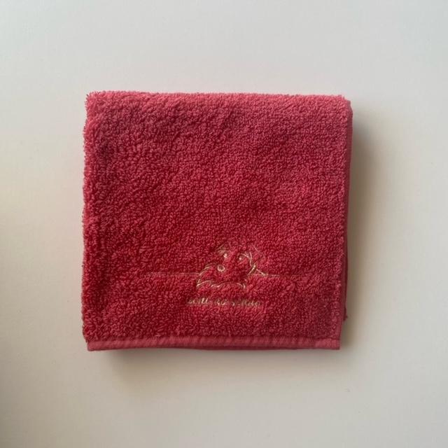 シュナウザー雑貨　カラータオル　ハンカチ　あごのせ刺繍　犬雑貨　今治タオル　ギフト　お誕生日　プレゼント　推しカラー　入学　卒業　転勤　母の日 |  | 02