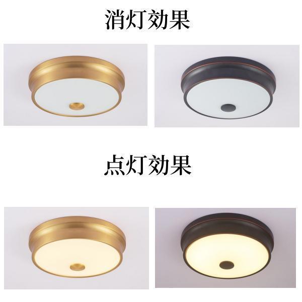 LED シーリングライト 30W 調光調色 リモコン付き 3000-6500K 電球色 昼白色 常夜灯モード 照明器具 PSE認証済み 引掛式 内玄関 モダン 北欧 |  | 06