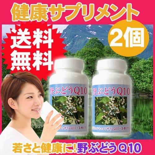 【野ぶどうQ10　600粒×2個】自家園野ぶどう+ウコン+ガジュツ+コエンザイムQ10+ビタミン　若々しく健康　