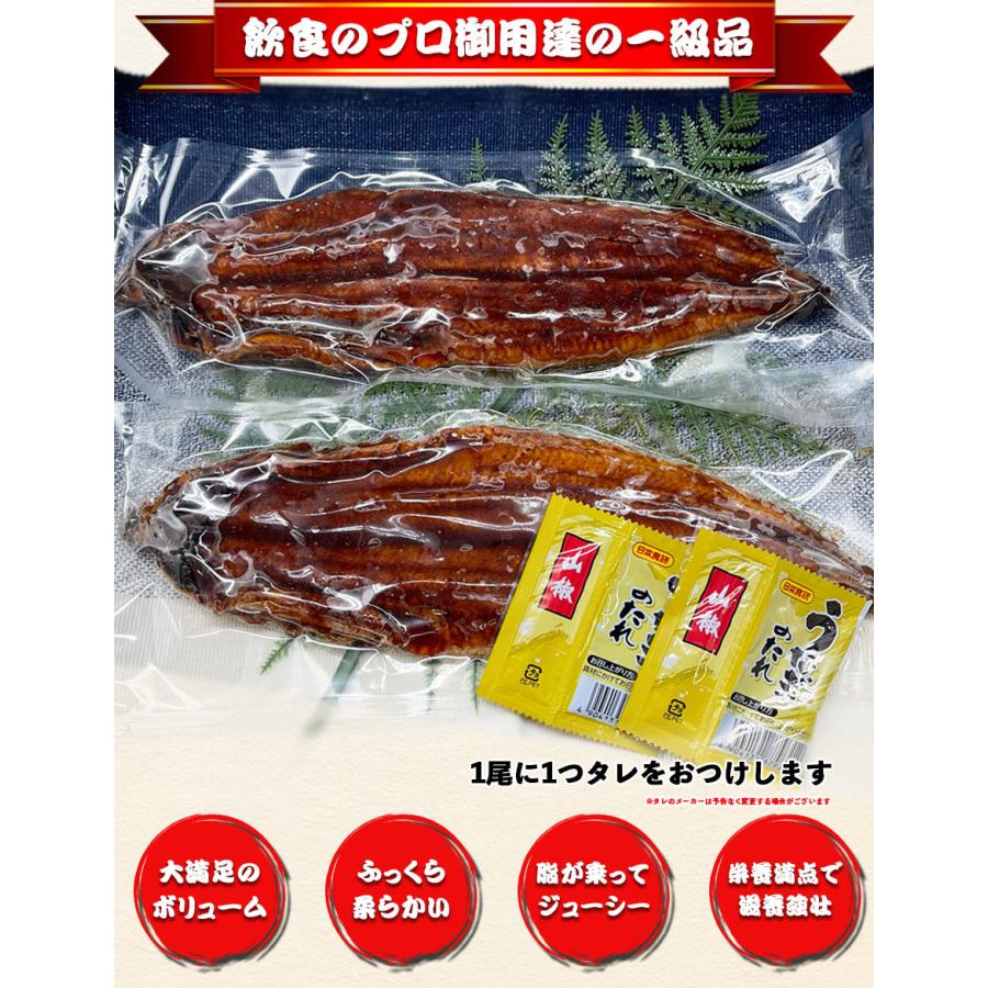 送料無料 土用丑 御中元 中国産うなぎ蒲焼き2尾入り 1尾300g以上 うなぎ ウナギ 蒲焼き 有頭 中国産 水産加工品 ギフト 送料無料 Ung05 内田水産 Yahoo 店 通販 Yahoo ショッピング