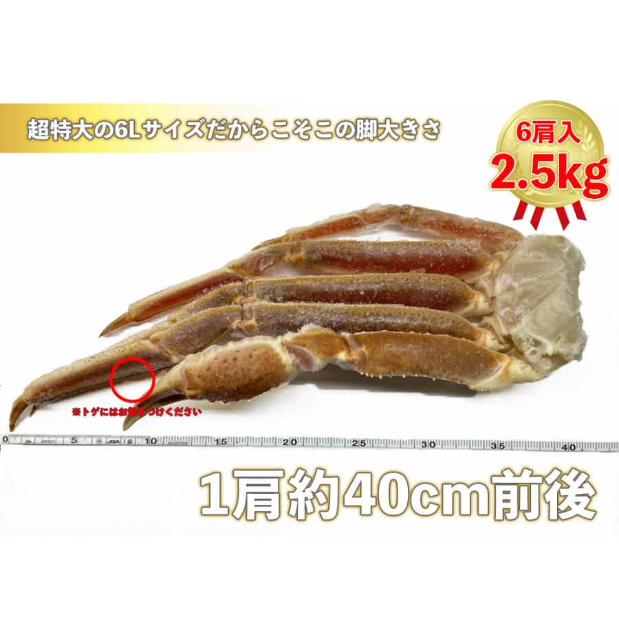 驚きの値段で 送料無料 特大生ずわいがに2 5kg 6肩入り ズワイガニ ずわいがに かに カニ カニ足 カニ脚 カニ鍋 5l 2 5kg ギフト 市場 母の日 父の日 Wantannas Go Id