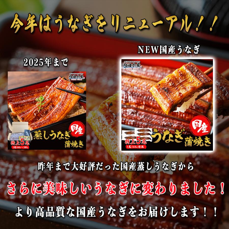 うなぎ 国産 九州 蒲焼 5尾 160g前後×5 タレ山椒付き 冷凍 化粧箱 食べ方解説書付き うなぎ 鰻 ウナギ ”国産うなぎ蒲焼5尾入り”