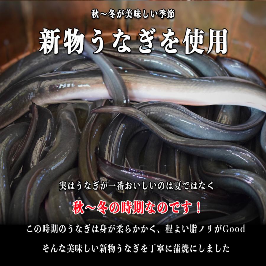 うなぎ 国産 九州 蒲焼 5尾 160g前後×5 タレ山椒付き 冷凍 化粧箱 食べ方解説書付き うなぎ 鰻 ウナギ ”国産うなぎ蒲焼5尾入り”