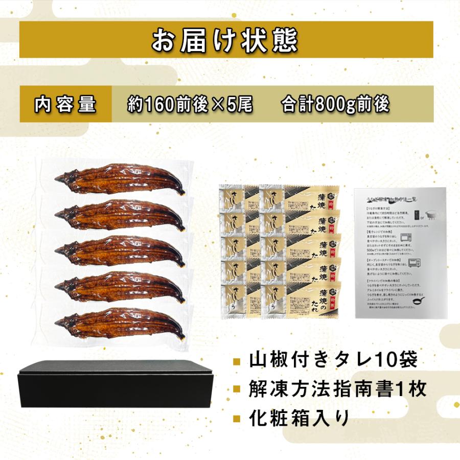 うなぎ 国産 九州 蒲焼 5尾 160g前後×5 タレ山椒付き 冷凍 化粧箱 食べ方解説書付き うなぎ 鰻 ウナギ ”国産うなぎ蒲焼5尾入り”