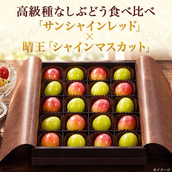 山梨県産ぶどう　シャインマスカット　サンシャインレッド 食べ比べセット 高級種なしぶどう 食べ比べ 20粒 山梨県産 サンシャインレッド 10粒