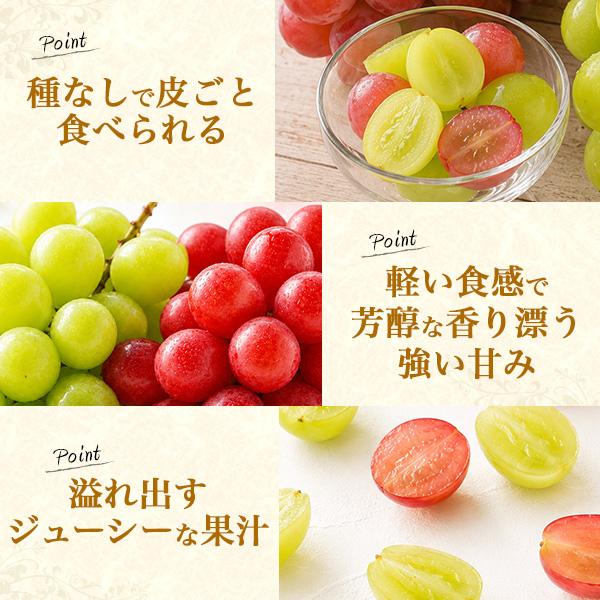 高級種なしぶどう 食べ比べ 20粒 山梨県産 サンシャインレッド 10粒