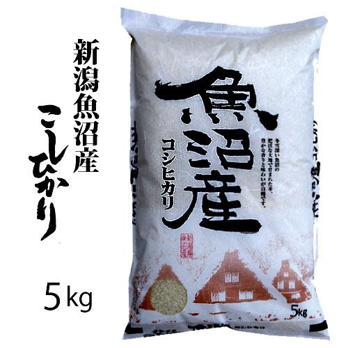 魚沼 【古米処分特価】新潟南魚沼産コシヒカリ白米5kg 令和6年産 