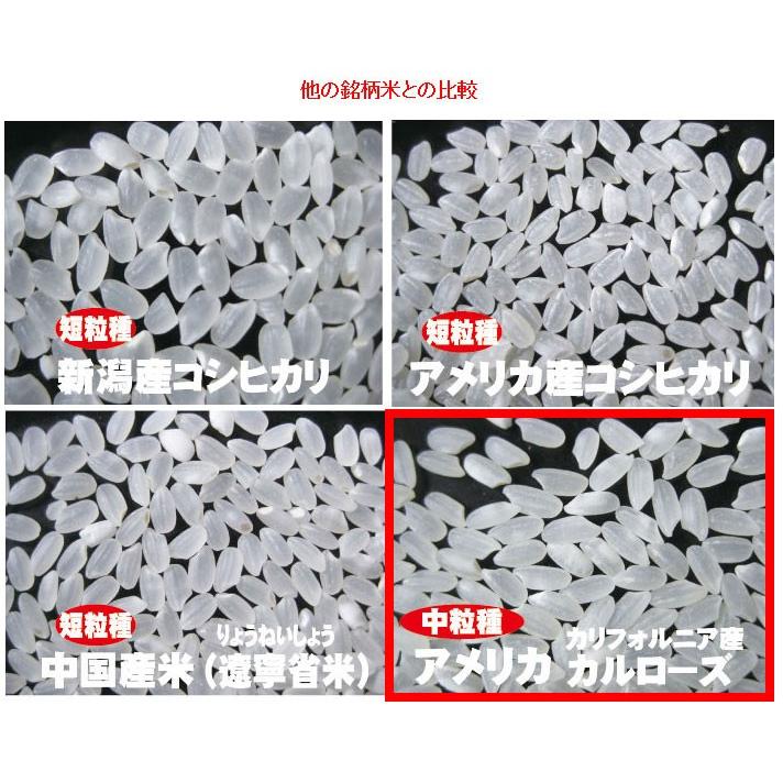 アメリカ カリフォルニア産米 カルローズ10kg（5kgx2） 2024年産