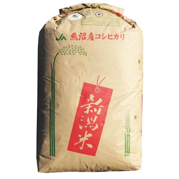 令和6年産コシヒカリ玄米25kg