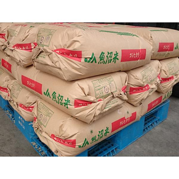 コシヒカリ 【古米処分特価】新潟南魚沼産コシヒカリ玄米25kg 令和6 令和6年産コシヒカリ玄米25kg
