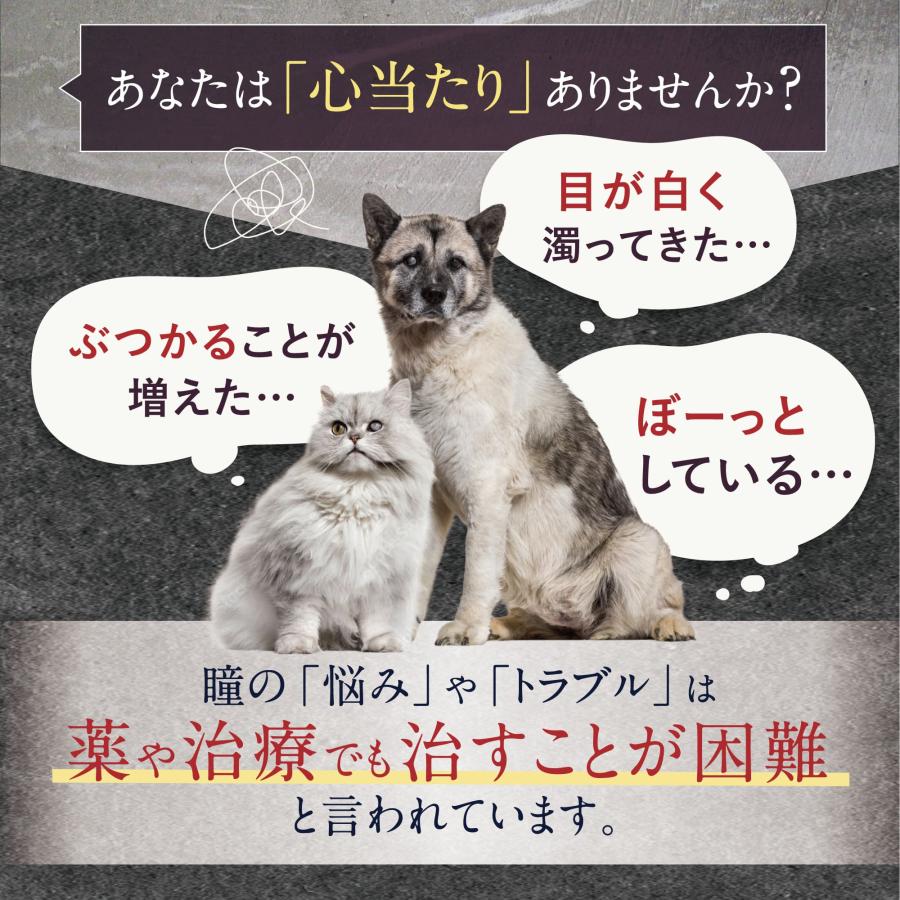 犬 サプリメント犬 涙やけ  犬 アイケア  犬 スキンケア 瞳 サポート 目 サプリ ルテイン アイケア うちの瞳サポート お試しサイズ | うちのかぞく | 02