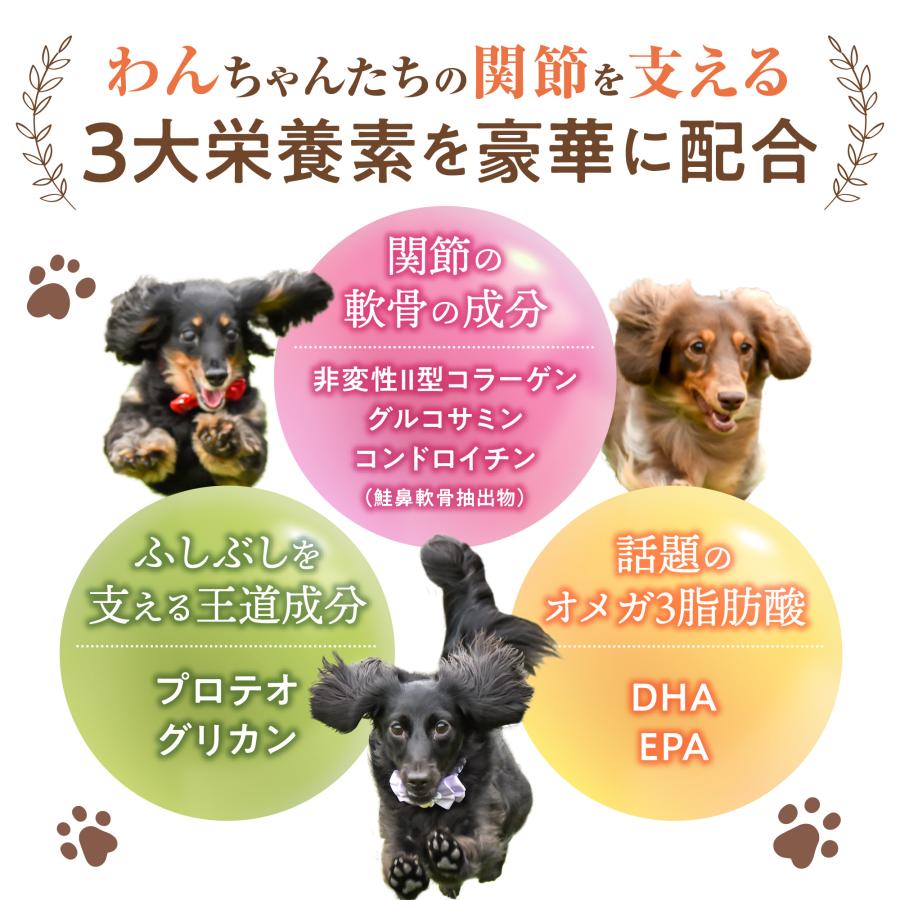 まとめ買いがお得！犬 猫 サプリ 関節 サプリメント 犬用  猫用 コラーゲン グルコサミン ひざ 炎症 骨 腰 パテラ うちの関節サポート うちのかぞく｜uchinokazoku｜10