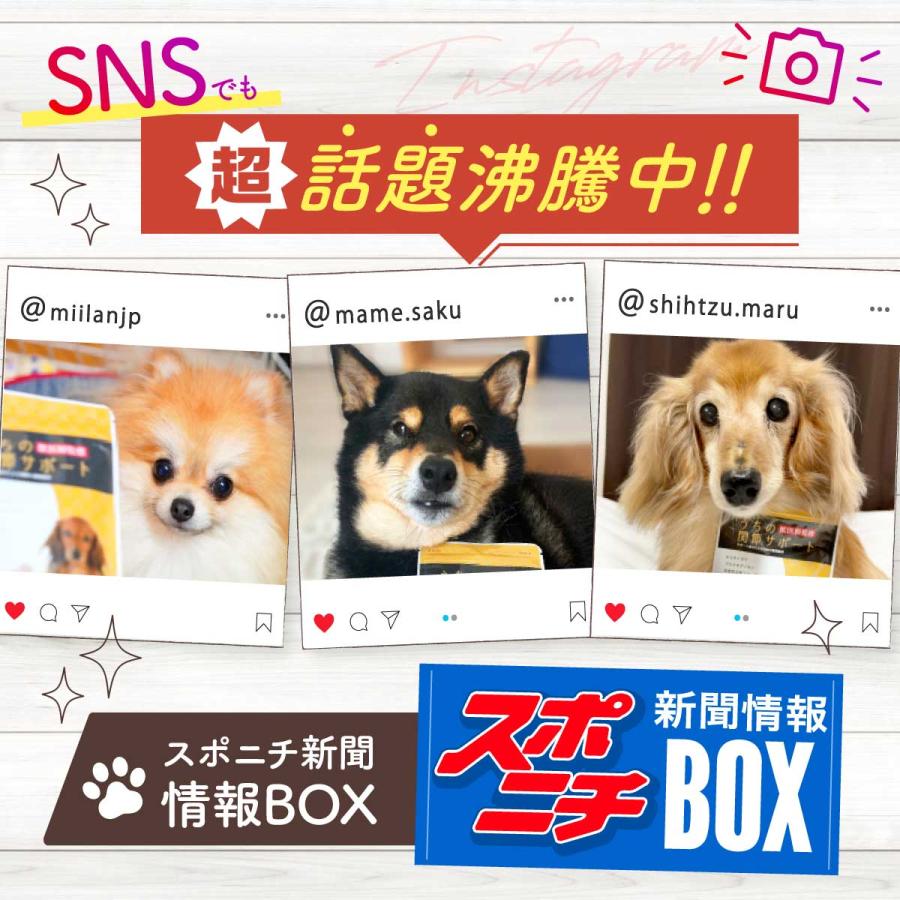 犬 猫 サプリ 関節 サプリメント 犬用 猫用 コラーゲン グルコサミン ひざ 炎症 骨 腰 サポート アンチノール コルディ うちの関節サポート うちのかぞく :kansetsu-01:うちのかぞく - 通販 - Yahoo!ショッピング 犬 猫 サプリ 関節 サプリメント 犬用 猫用 コラーゲン グルコサミン ひざ 炎症 骨 腰 サポート アンチノール コルディ うちの関節サポート うちのかぞく :kansetsu-01:うちのかぞく - 通販 - Yahoo!ショッピング