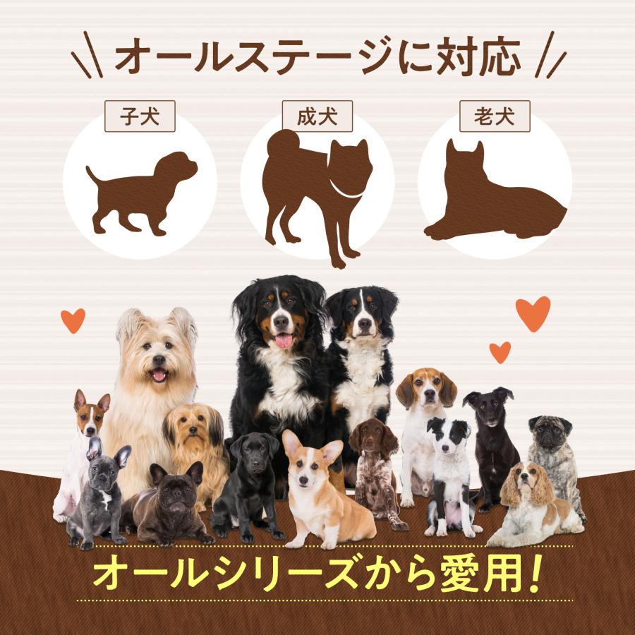 まとめ買いがお得！犬 猫 サプリ 関節 サプリメント 犬用  猫用 コラーゲン グルコサミン ひざ 炎症 骨 腰 パテラ うちの関節サポート うちのかぞく｜uchinokazoku｜11