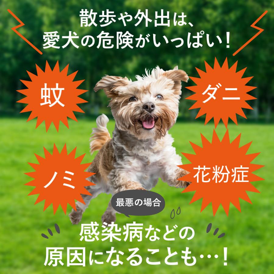 【獣医師監修】 KITENE キテネ 術後 防虫 保護 エリザベス ウェア 服 犬 うちのかぞく 犬用品 エリザベスカラーの代わる 保護服 雄 雌兼用 避妊 離乳 皮膚病 | うちのかぞく | 02