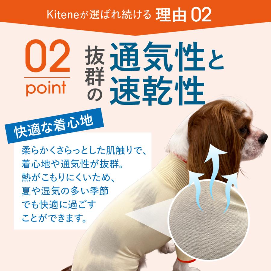 【獣医師監修】 KITENE キテネ 術後 防虫 保護 エリザベス ウェア 服 犬 うちのかぞく 犬用品 エリザベスカラーの代わる 保護服 雄 雌兼用 避妊 離乳 皮膚病 | うちのかぞく | 06