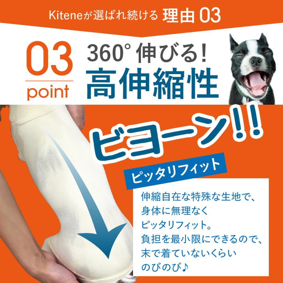 【獣医師監修】 KITENE キテネ 術後 防虫 保護 エリザベス ウェア 服 犬 うちのかぞく 犬用品 エリザベスカラーの代わる 保護服 雄 雌兼用 避妊 離乳 皮膚病 | うちのかぞく | 07