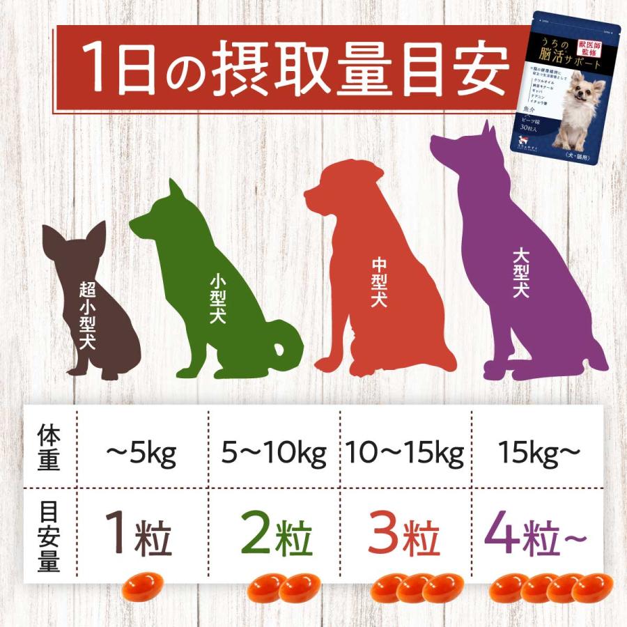 最適な材料 スケーター フィーダー シリンジ L 犬猫用 スケーター フィーダー シリンジ L 犬猫用