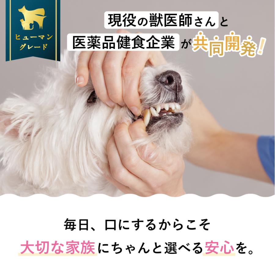 犬  歯磨き 犬  歯石 犬 歯垢 犬 口臭 歯磨きガム サプリ犬 歯ブラシ  犬 猫 歯磨き ペット 犬 歯磨き粉 うちのお口サポート うちのかぞく 少量 お試し 10g | うちのかぞく | 11