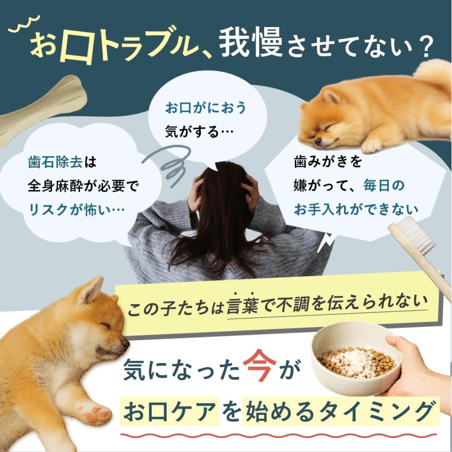 犬  歯磨き 犬  歯石 犬 歯垢 犬 口臭 歯磨きガム サプリ犬 歯ブラシ  犬 猫 歯磨き ペット 犬 歯磨き粉 うちのお口サポート うちのかぞく 少量 お試し 10g | うちのかぞく | 02