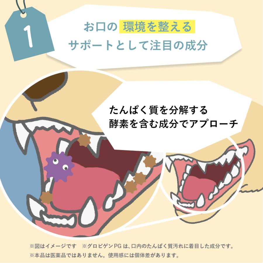 犬  歯磨き 犬  歯石 犬 歯垢 犬 口臭 歯磨きガム サプリ犬 歯ブラシ  犬 猫 歯磨き ペット 犬 歯磨き粉 うちのお口サポート うちのかぞく 少量 お試し 10g | うちのかぞく | 05