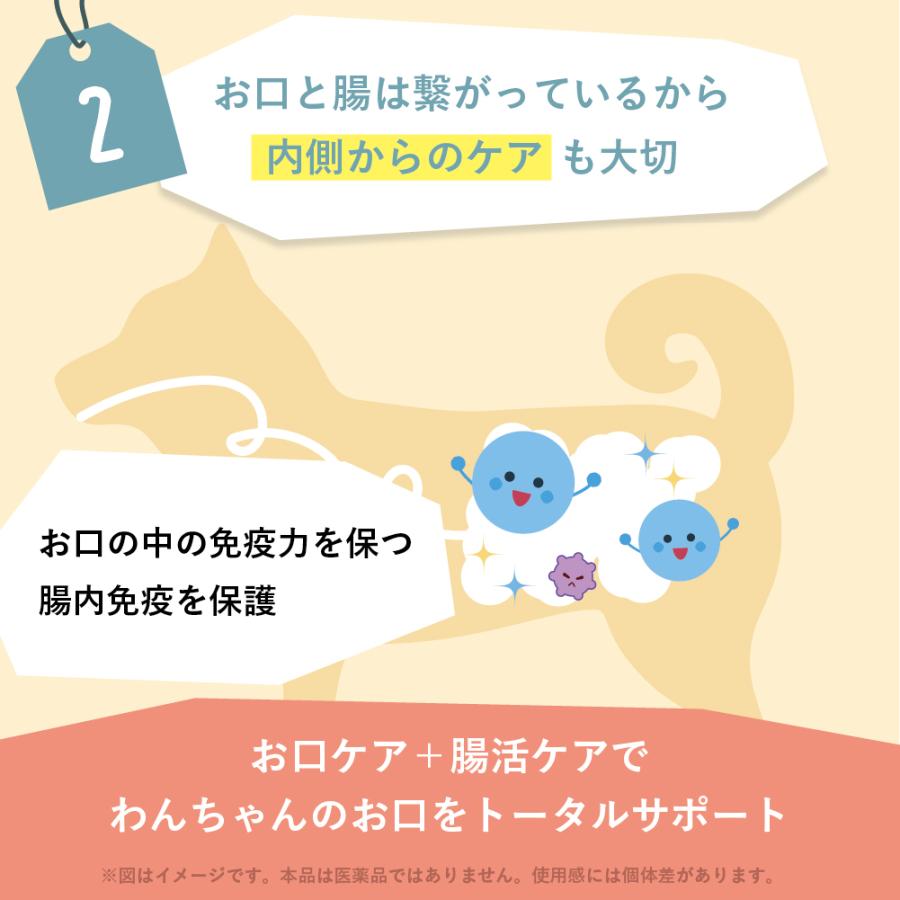 犬  歯磨き 犬  歯石 犬 歯垢 犬 口臭 歯磨きガム サプリ犬 歯ブラシ  犬 猫 歯磨き ペット 犬 歯磨き粉 うちのお口サポート うちのかぞく 少量 お試し 10g | うちのかぞく | 09