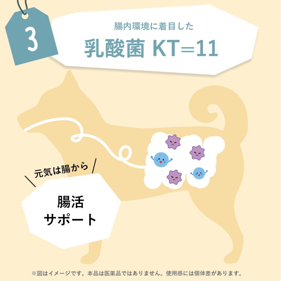 h t8663 うちのおくちサポート 犬猫用 チキン味 40gx4 口臭ケア うちのかぞく 犬 歯磨き 歯石 歯垢 口臭 歯磨きガム サプリ犬