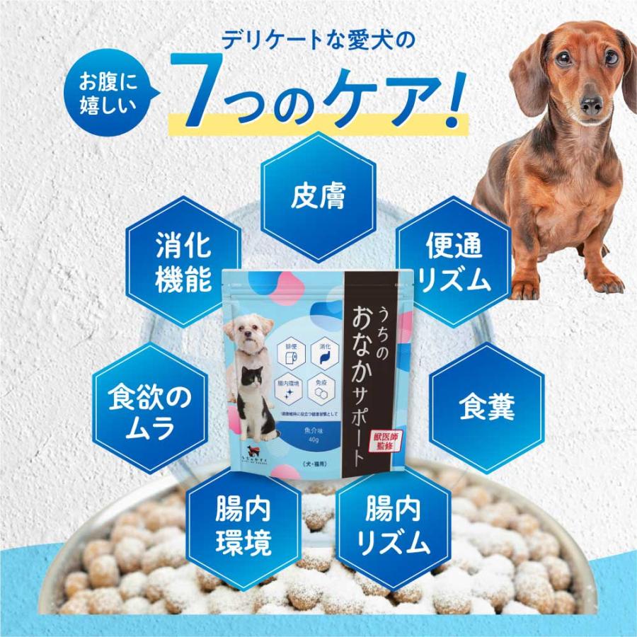うちのかぞく 【レビューで1袋プレゼント】うちのおなかサポート