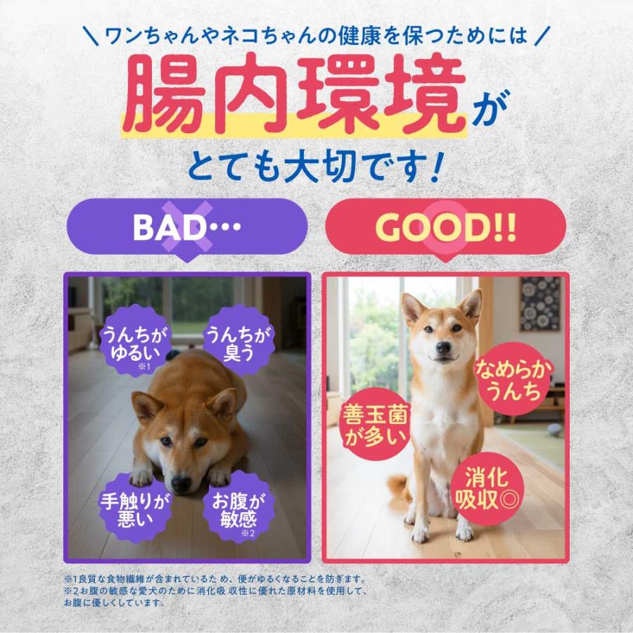 【レビューで1袋プレゼント】うちのおなかサポート サプリメント ペット 犬 猫 うちのかぞく 国産 無添加 腸内環境 乳酸菌 ビフィズス菌 腸活 整腸 おなかの健康 | うちのかぞく | 05