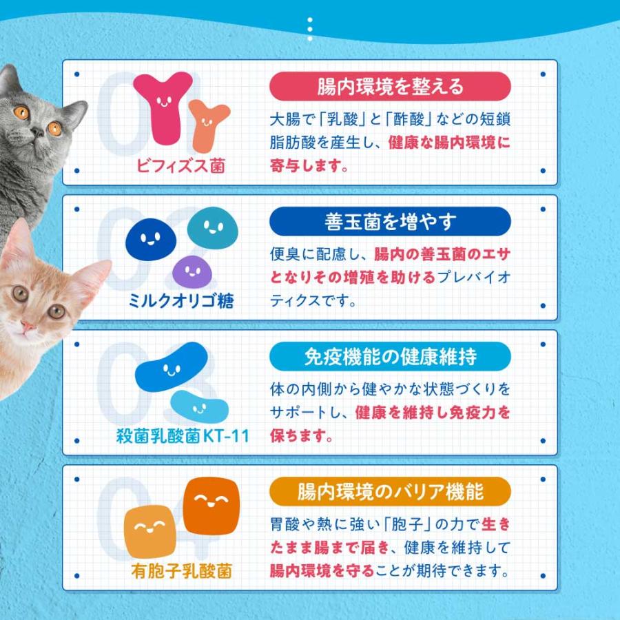 【レビューで1袋プレゼント】うちのおなかサポート サプリメント ペット 犬 猫 うちのかぞく 国産 無添加 腸内環境 乳酸菌 ビフィズス菌 腸活 整腸 おなかの健康 | うちのかぞく | 07