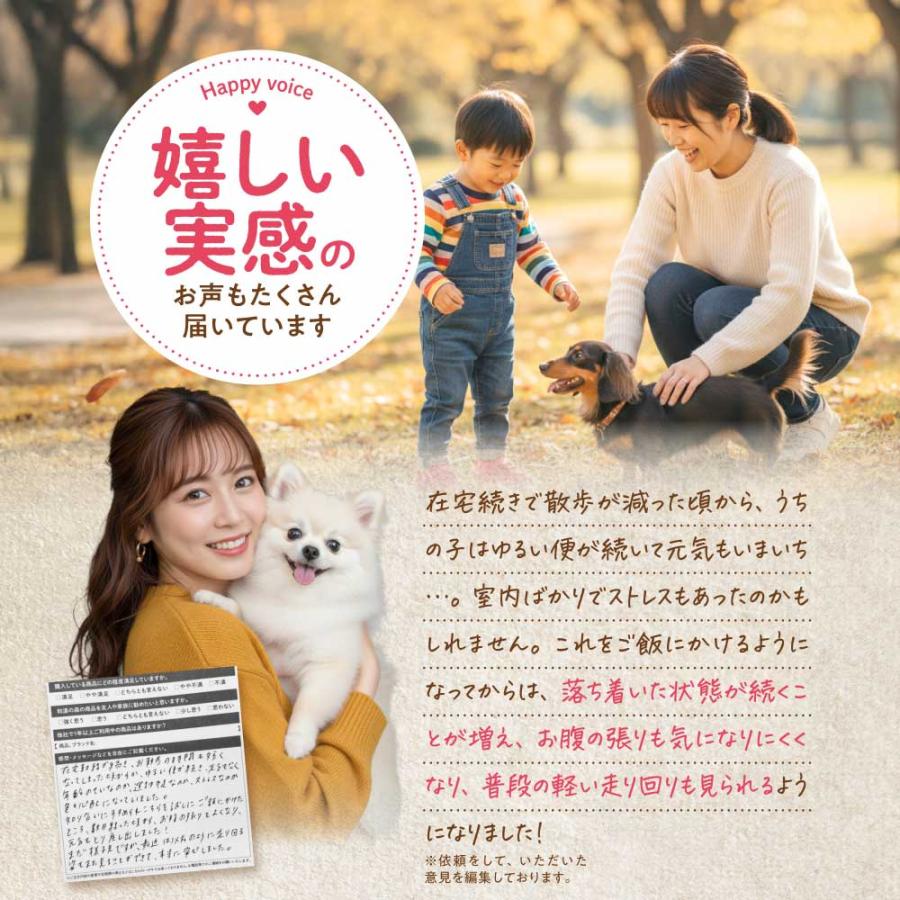 【レビューで1袋プレゼント】うちのおなかサポート サプリメント ペット 犬 猫 うちのかぞく 国産 無添加 腸内環境 乳酸菌 ビフィズス菌 腸活 整腸 おなかの健康 | うちのかぞく | 09