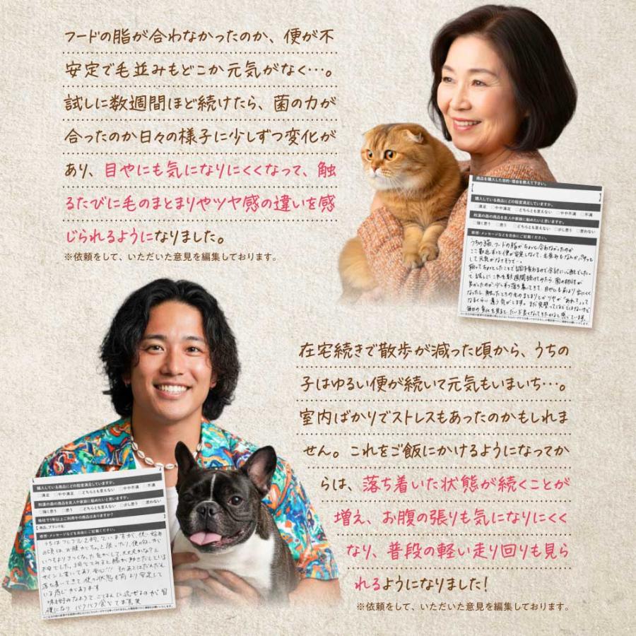 【レビューで1袋プレゼント】うちのおなかサポート サプリメント ペット 犬 猫 うちのかぞく 国産 無添加 腸内環境 乳酸菌 ビフィズス菌 腸活 整腸 おなかの健康 | うちのかぞく | 10