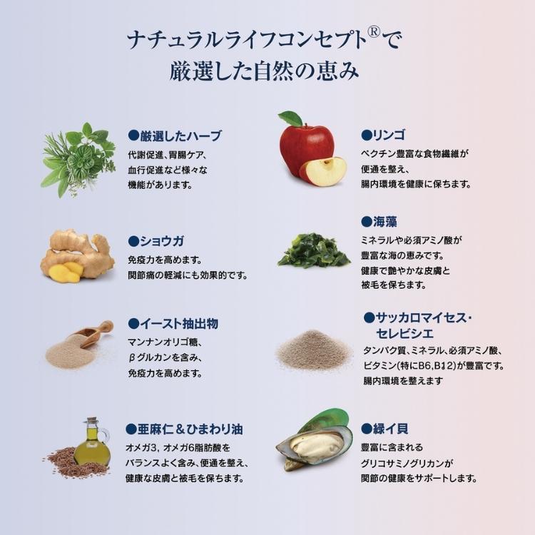 ハッピーキャット【 バイエルン ビーフ 10kg 】大粒 HAPPY CAT 成猫 グルテンフリー ドライフード デンタルケア 関節ケア