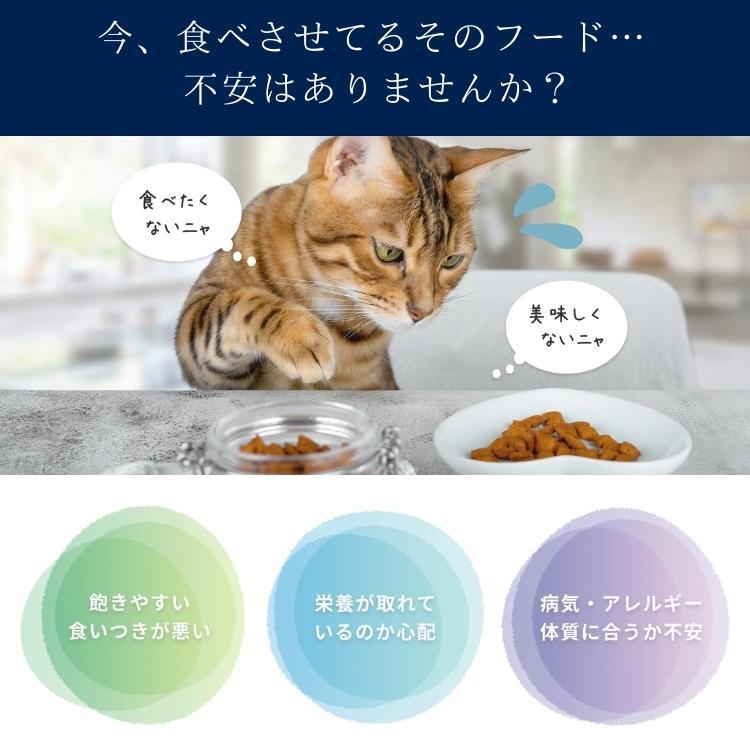 ハッピーキャット ハッピーキャット【 ファーム ポルトリー（平飼い